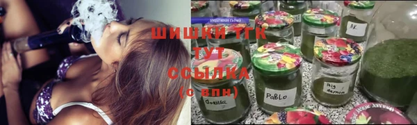 ешки Алексин