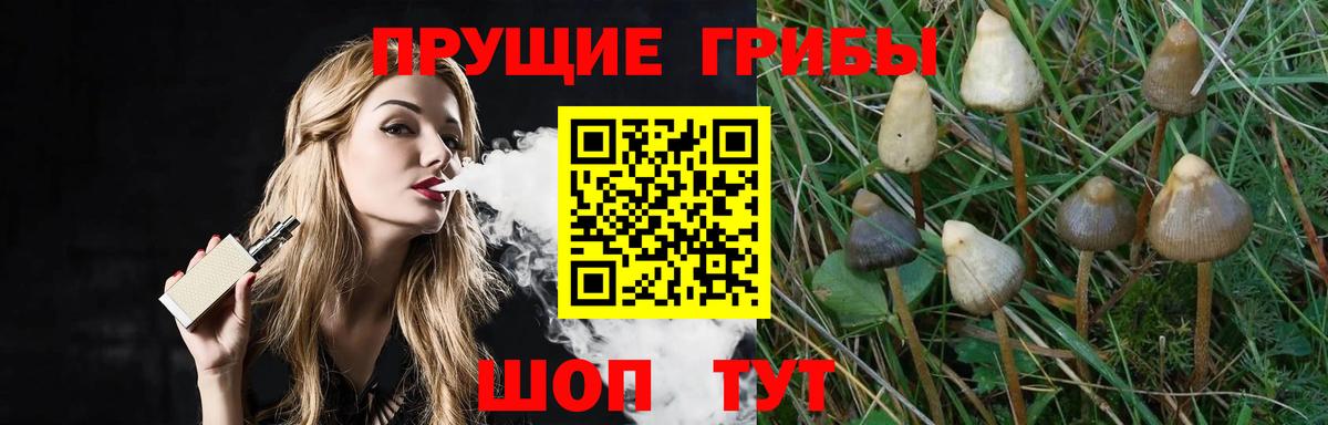 Узловая  Псилоцибиновые грибы ЛСД  Вход с VPN 