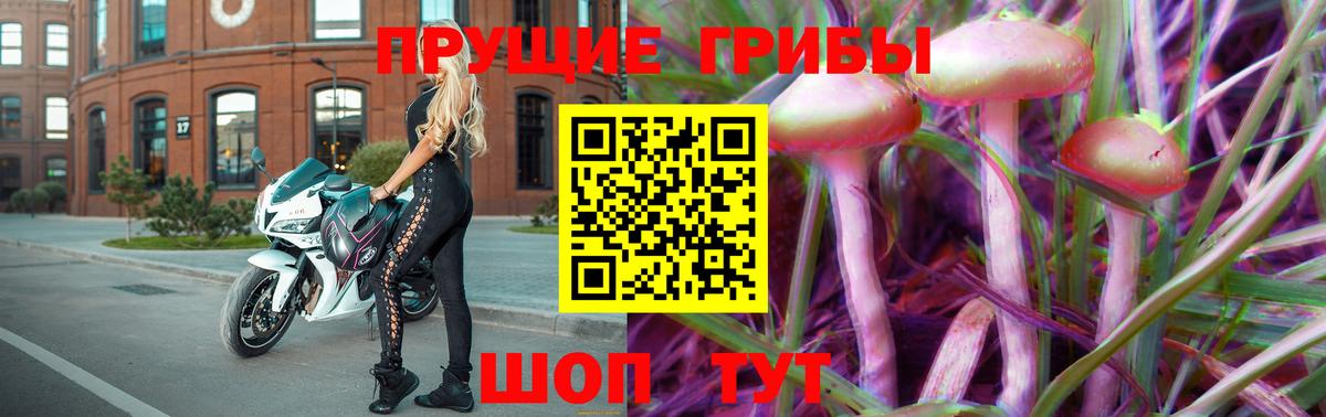Псилоцибиновые грибы Psilocybe Узловая